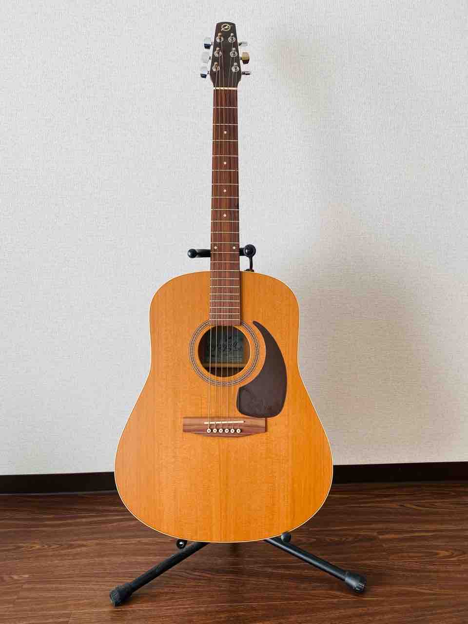 シーガルS6 アコギ 最終値引き