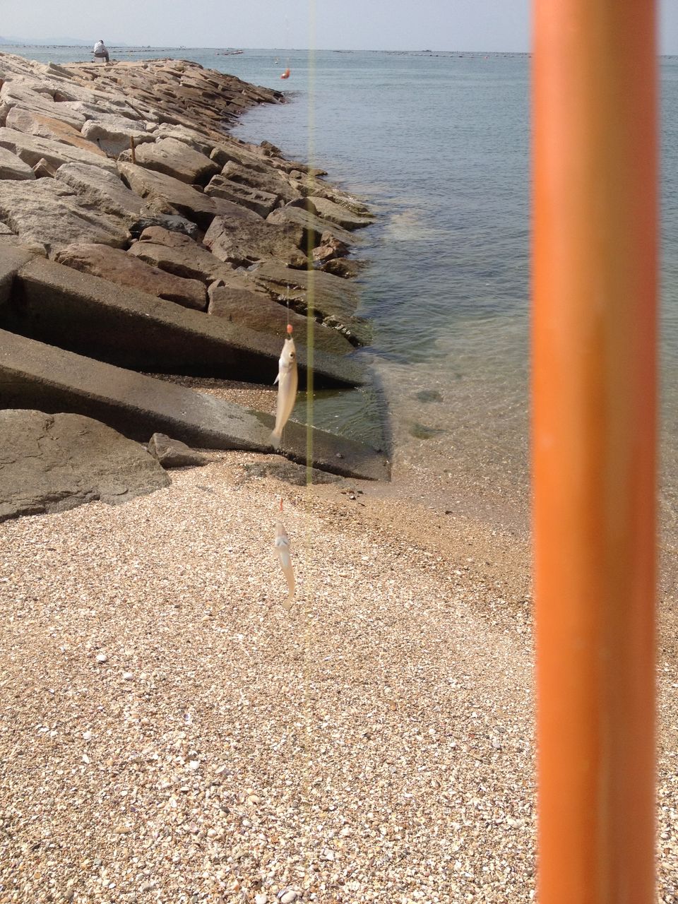 残る藤江海岸でライトキス リアルチャレンジ ライトキス