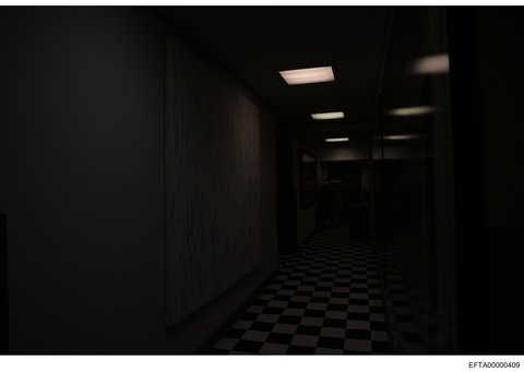 EFTA00000409_page-0001
