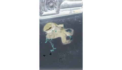 HKgwF0jO3sJpDcp1772009592_1772009639