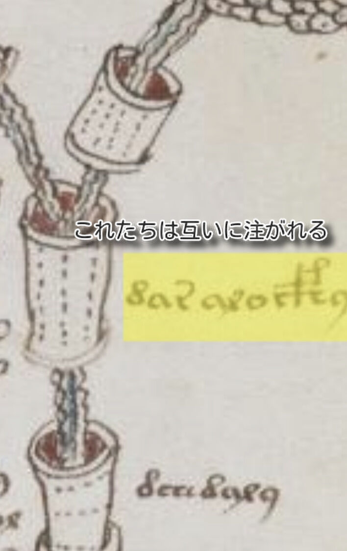 ヴォイニッチ手稿が読める男の話を知っている方 黄昏ちゃんねる ヴォイニッチ手稿が読める男の話を知っている方 黄昏ちゃんねる