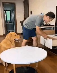 絶対笑いが取れる画像選手権やろうぜ まず俺からな 黄昏ちゃんねる 絶対笑いが取れる画像選手権やろうぜ まず俺からな 黄昏ちゃんねる