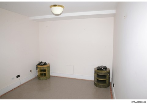 EFTA00000399_page-0001