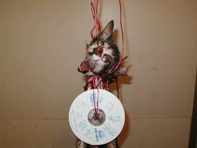 生き物苦手民さん 猫を水槽に入れ睡眠の実験をする 夢 を見てしまう 黄昏ちゃんねる