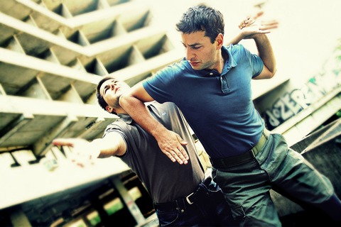 martial-arts-2481472_1920