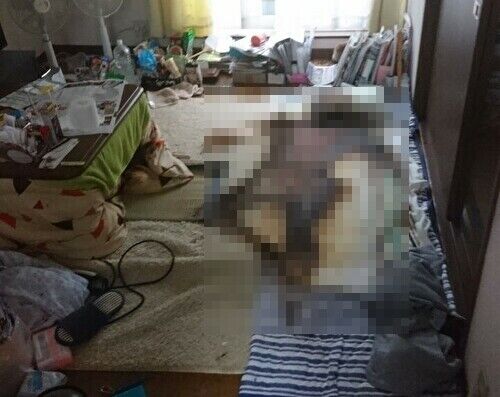 閲覧注意 孤独死の末路画像集があまりにも悲惨すぎる 黄昏ちゃんねる