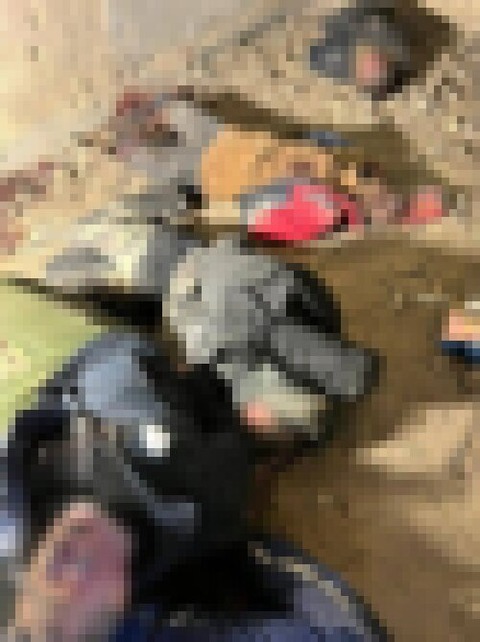 bqWoZrHblz7OFJI1649155264_1649155274