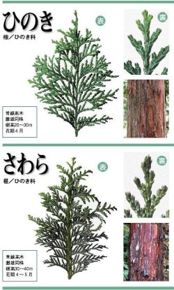 黄昏茶房                黄昏茶房