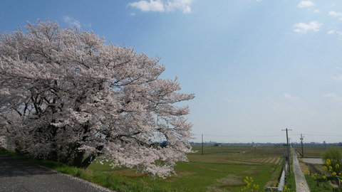 P1080514_s