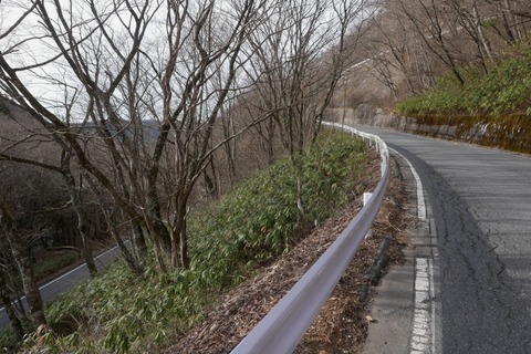 P1080799s_a