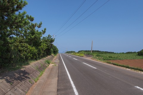 P8120445