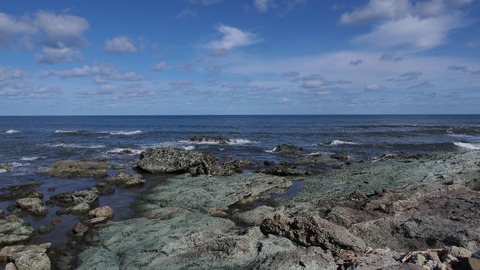 P8180495_a