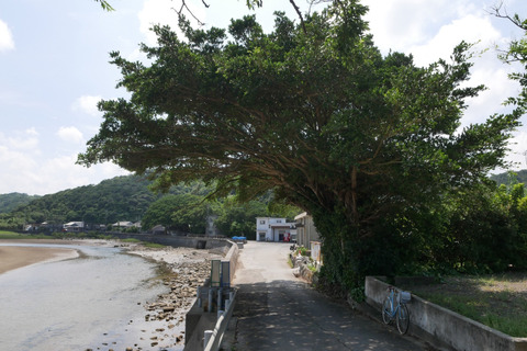 P1110289