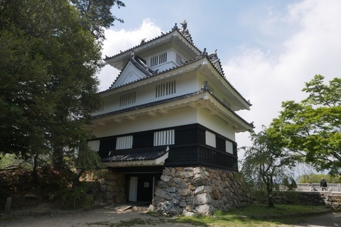 P1080890_a