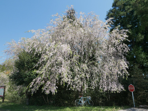 P1080997_s