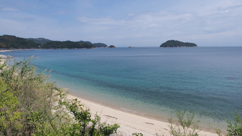 P5030931_s