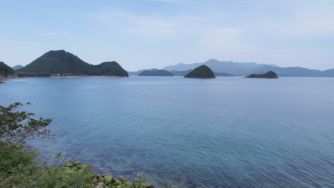 P5030711_s