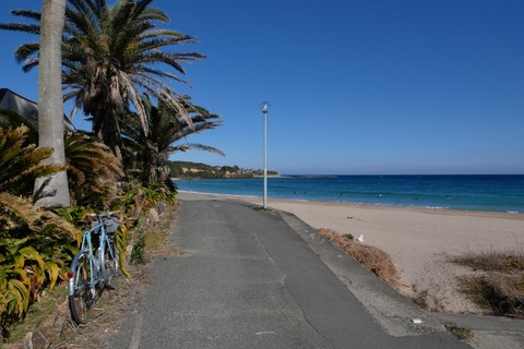 P1020105s_a