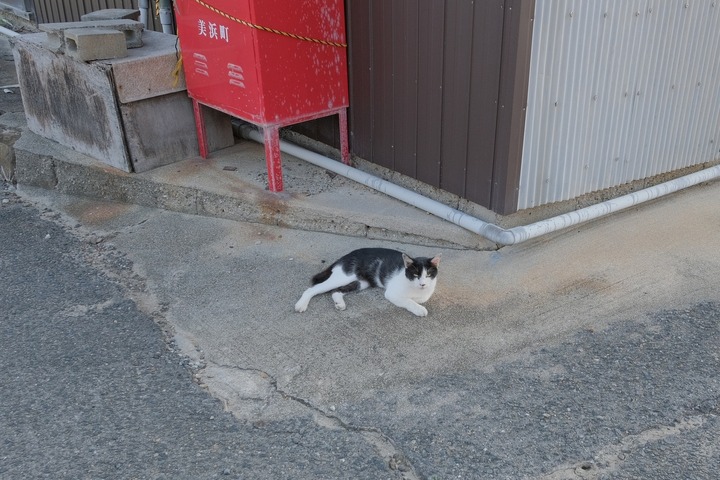 DSCF6898s_4