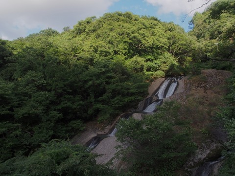 P8170320s_a