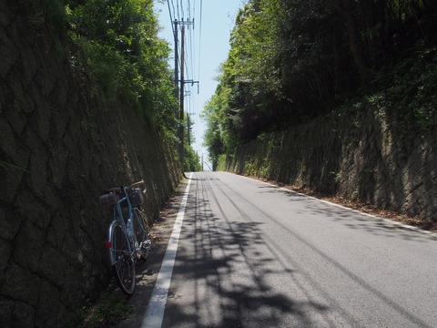 P5010810