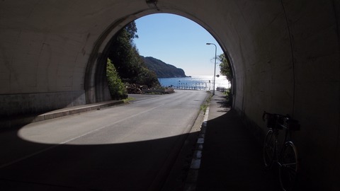 PC311082_4