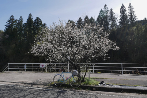 P1080780