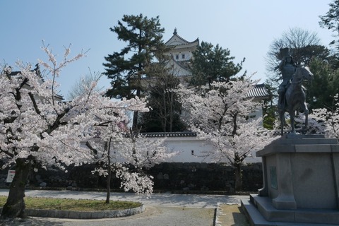 P1080389_a