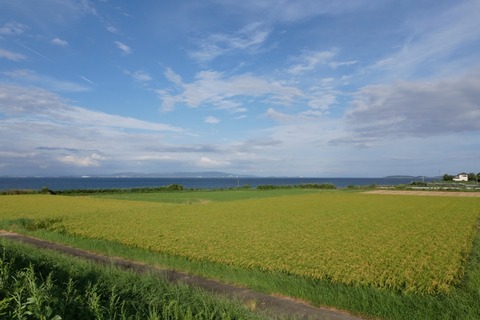 P1050081s_a