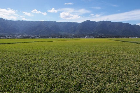 P9220269s_a