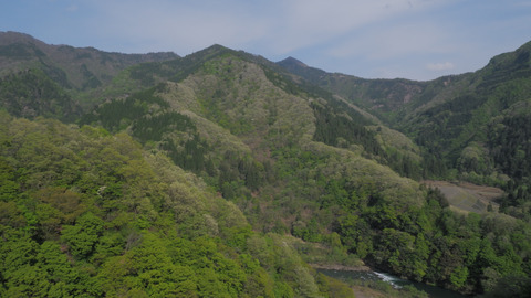 DSCF6428s_s