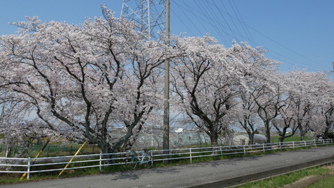 P1080399