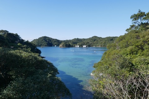 P1070219_a