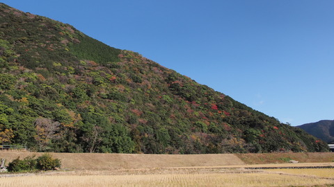 PC240113_s