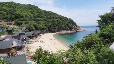 P5030803_a