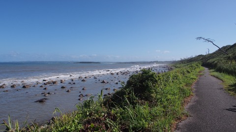 P8170038_a
