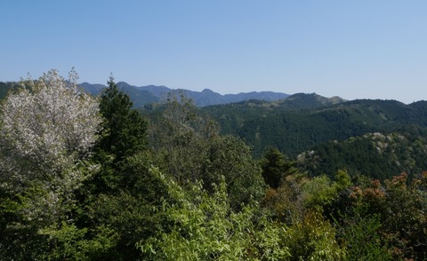 P1090014s_a