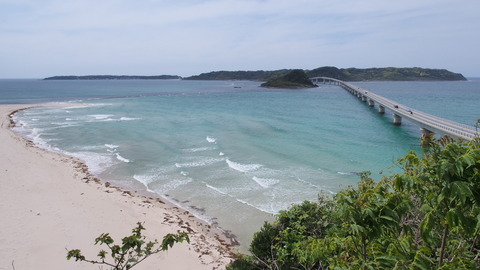 P5020471_s