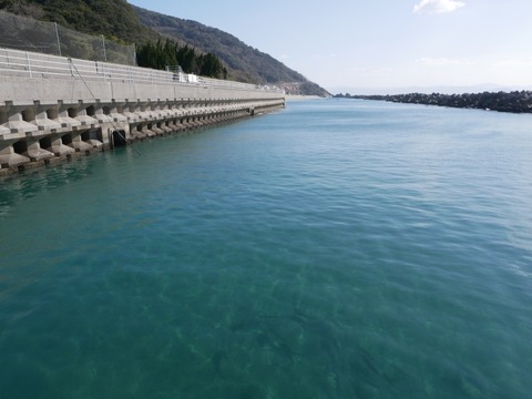 P1070654_a