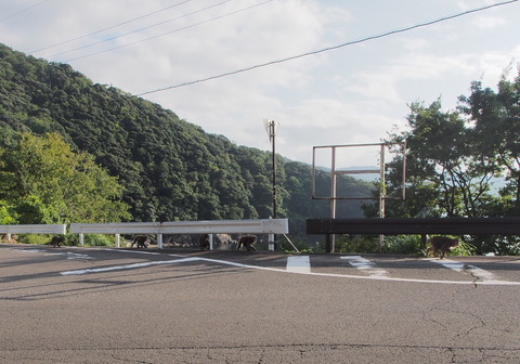 P9240394_s