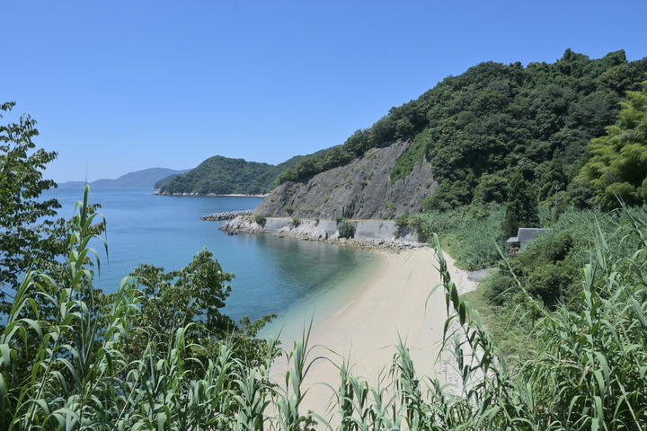DSC_1884s_s