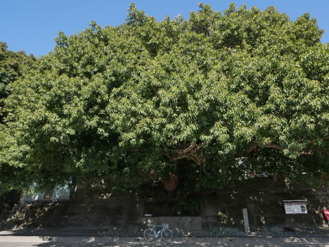P1070798