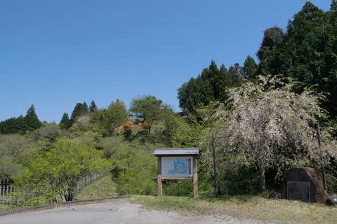 P1080996_a