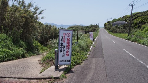P5010499