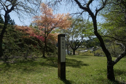 P1090007_a
