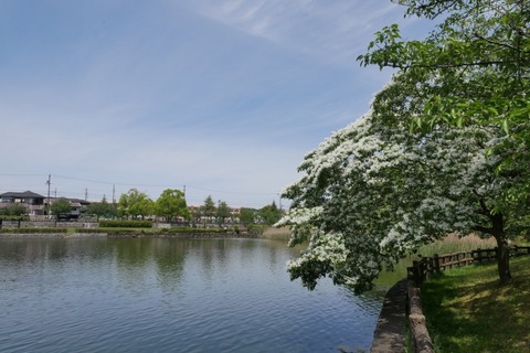 P1090691_a