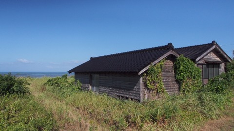 P8170047_4