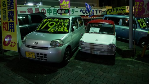 P1000091_4