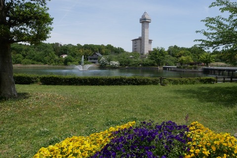 P1090703_a