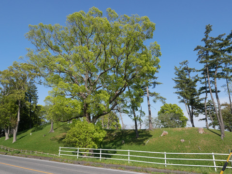 P1090183_s